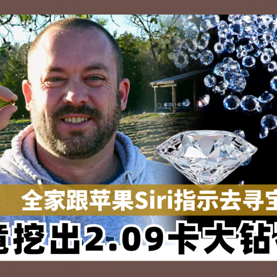 全家跟苹果Siri指示去寻宝 竟挖出2.09卡大钻石