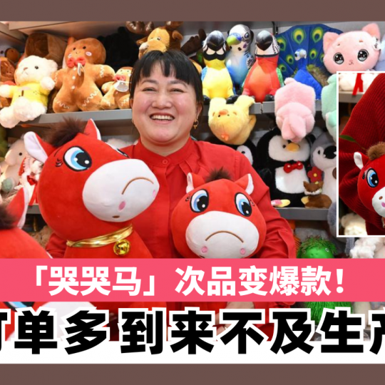 「哭哭马」次品变爆款！ 订单多到来不及生产