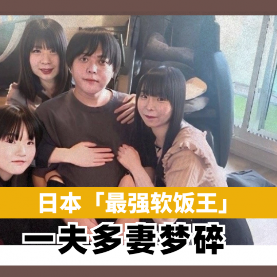 「最强软饭王」一夫多妻梦碎