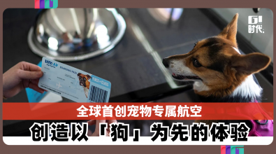 全球首创狗狗专属航空 创造以「狗」为先的体验