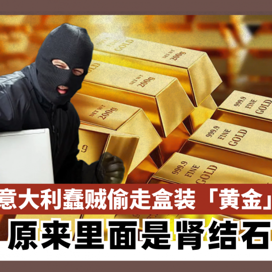 意大利蠢贼偷走盒装「黄金」 原来里面是肾结石