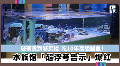 玻璃贵到够买楼 吃10年高级鳗鱼！ 日本水族馆「超浮夸告示」爆红