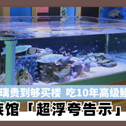玻璃贵到够买楼 吃10年高级鳗鱼！ 日本水族馆「超浮夸告示」爆红