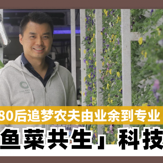 80后追梦农夫由业余到专业 靠「鱼菜共生」科技突围