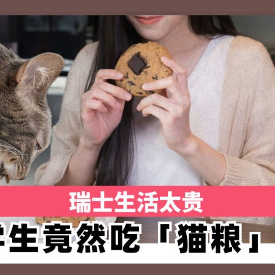 瑞士生活太贵 留学生竟然吃「猫粮」省钱