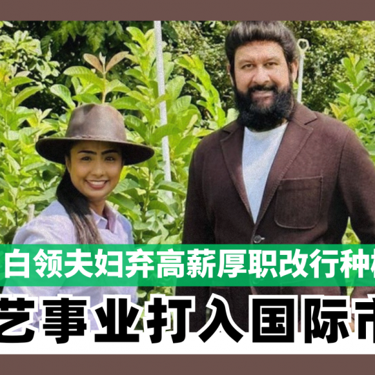 白领夫妇弃高薪厚职改行种树　 园艺事业打入国际市场