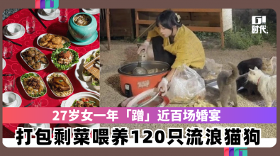 27岁女一年「蹭」近百场婚宴 打包剩菜喂养120只流浪猫狗