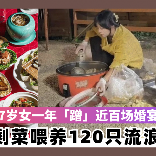 27岁女一年「蹭」近百场婚宴 打包剩菜喂养120只流浪猫狗
