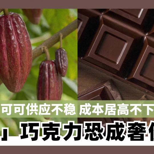 可可供应不稳 成本居高不下  「真」巧克力恐成奢侈品