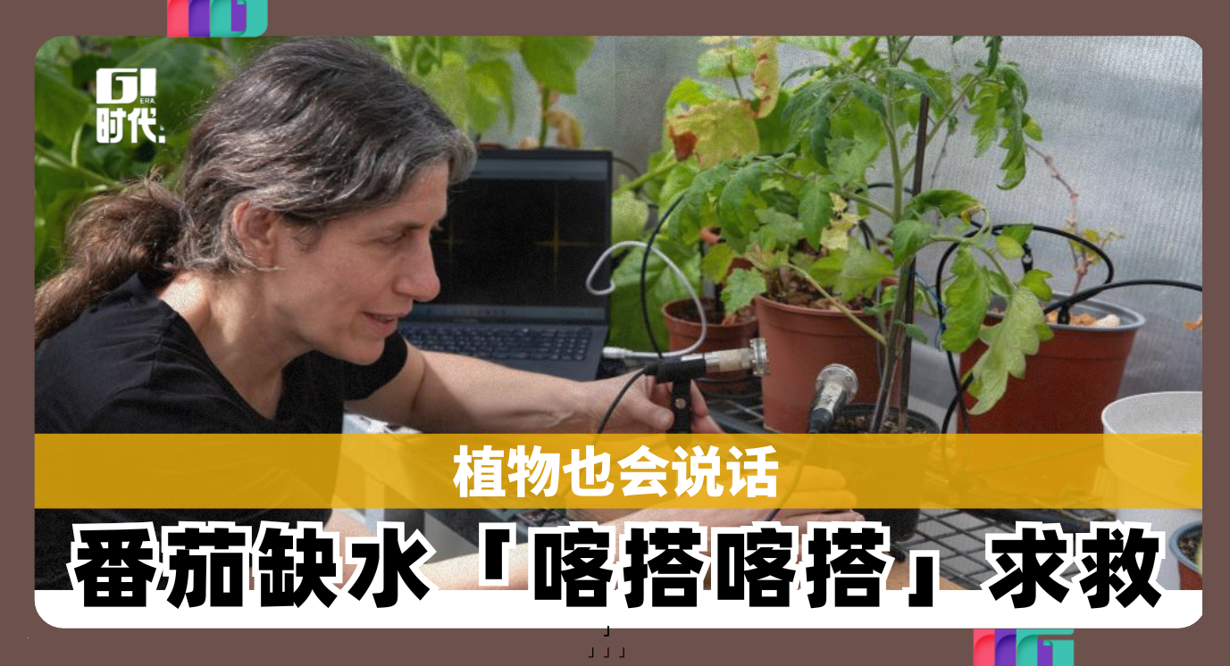 Copy of 新闻封面