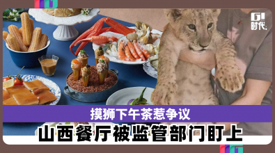 山西餐厅推千元萌宠套餐 涉违规被监管部门盯上