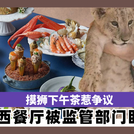山西餐厅推千元萌宠套餐 涉违规被监管部门盯上