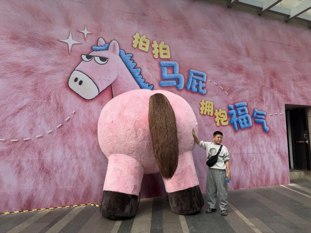 W020260205612662633313