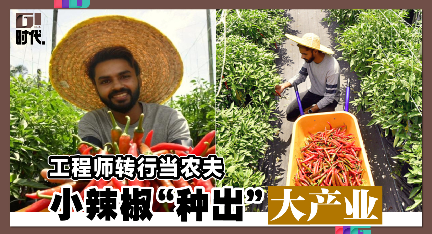 Content_design_finalpick0515-05-01-155