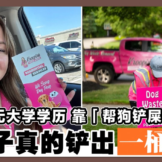 无大学学历 靠「帮狗铲屎」 女子真的铲出一桶金