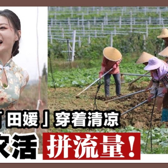 浓妆「田媛」穿着清凉 干农活拚流量！