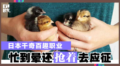 日本千奇百趣职业 忙到晕还抢着去应征