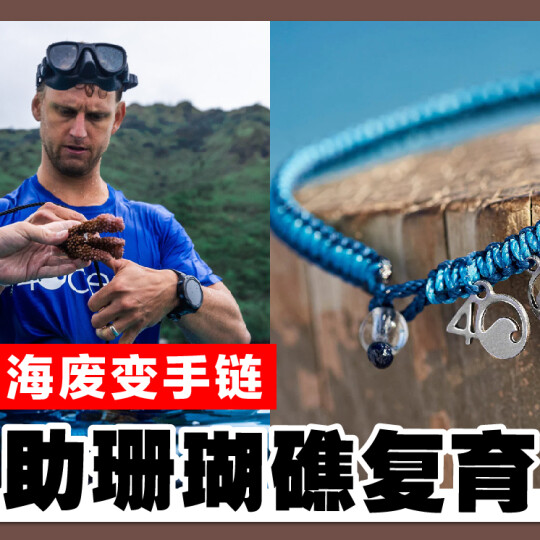 海废变手链 助珊瑚礁复育