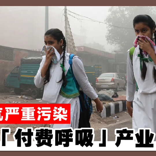 空气严重污染 印度「付费呼吸」产业崛起