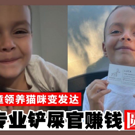 6岁童领养猫咪变发达 当专业铲屎官赚钱圆梦