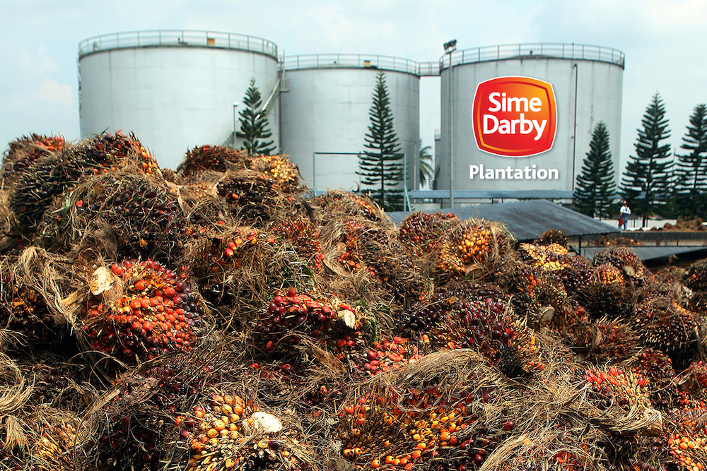 simedarby-plantation_1_simedarbyplantation.com__3