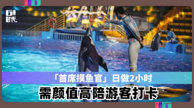 「首席摸鱼官」日做2小时 需颜值高陪游客打卡