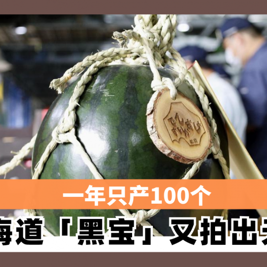 一年只产100个 北海道「黑宝」又拍出天价