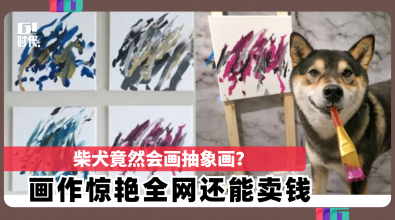 柴犬竟然会画抽象画？画作惊艳全网还能卖钱