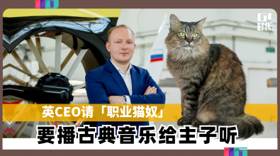 英CEO请「职业猫奴」 要播古典音乐给主子听