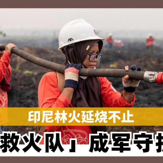 印尼林火延烧不止 「妈妈救火队」成军守护家园