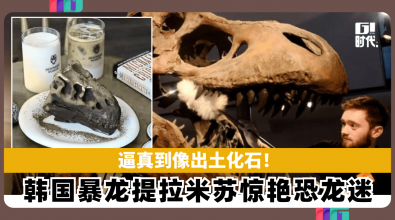逼真到像出土化石！ 韩国暴龙提拉米苏惊艳恐龙迷