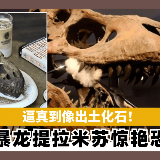 逼真到像出土化石！ 韩国暴龙提拉米苏惊艳恐龙迷