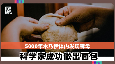 5000年木乃伊体内发现酵母  科学家成功做出面包