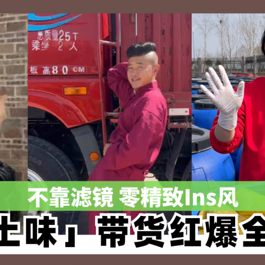 不靠滤镜 零精致Ins风 「土味」带货红爆全球