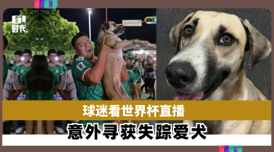 球迷看世界杯直播 意外寻获失踪爱犬