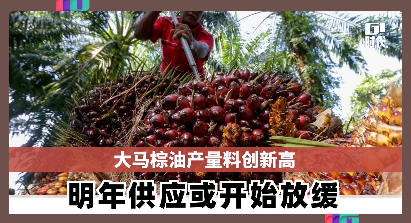 Kelapa sawit