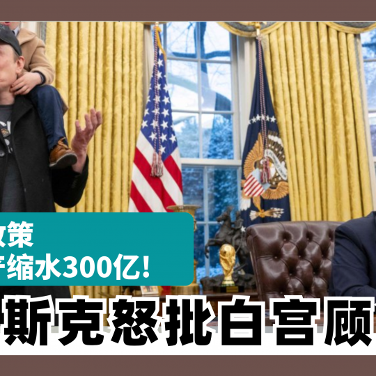 关税政策致资产缩水300亿 马斯克怒批白宫顾问